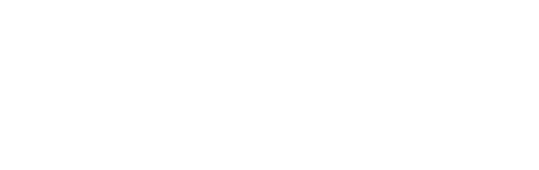 Sidus Strategic Solutions